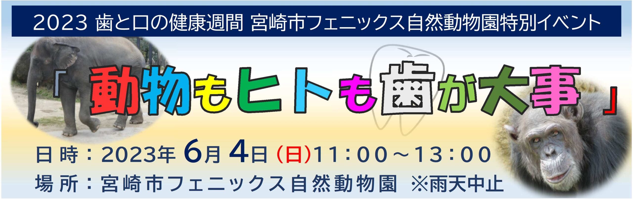 歯科イメージ画像２